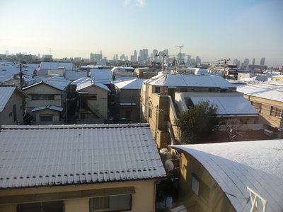 Snow in Tokyo, February 2010