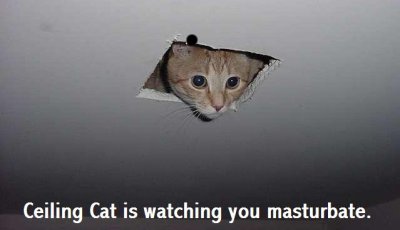 ceiling-cat-is-watching-you-masturbate.jpg