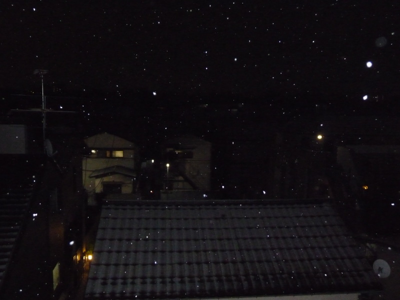 snow in tokyo