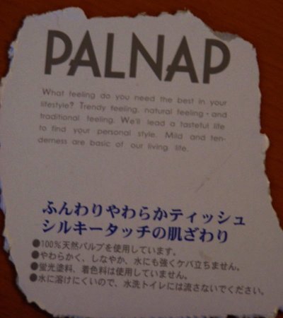 Palnap