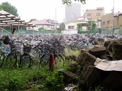 Impounded bikes in Tokyo Impounded bikes in Tokyo
