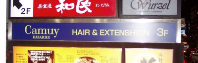 Hair and Extenshion