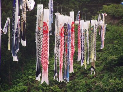 Koi-nobori in Niigata, Japan.