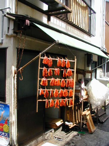 Fish hung out to dry in Nagasaki
