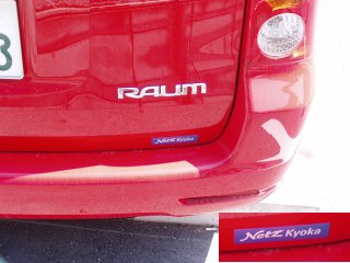 Raum Netz