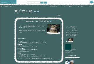Blogging Cat